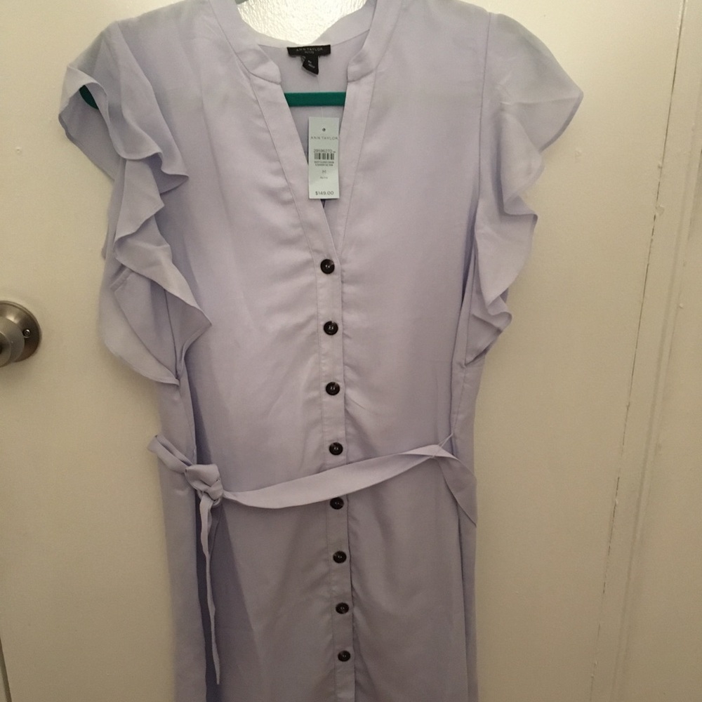 New with tags Ann Taylor dress - Picture 6 of 7